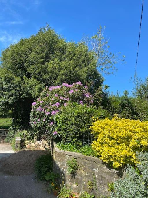 Jolie Maison A La Campagne « chez Germaine » * Digosville